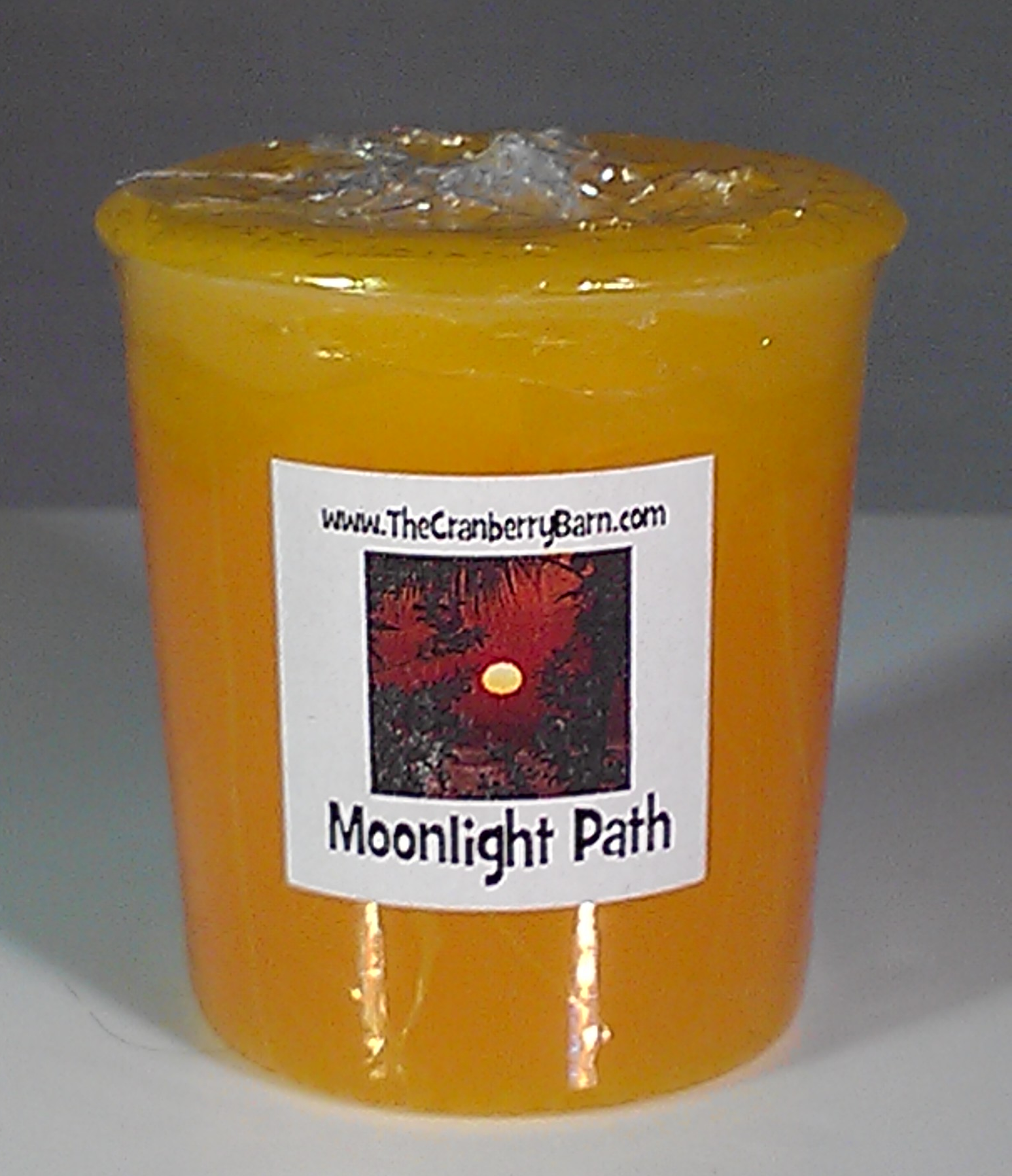 Moonlight Path